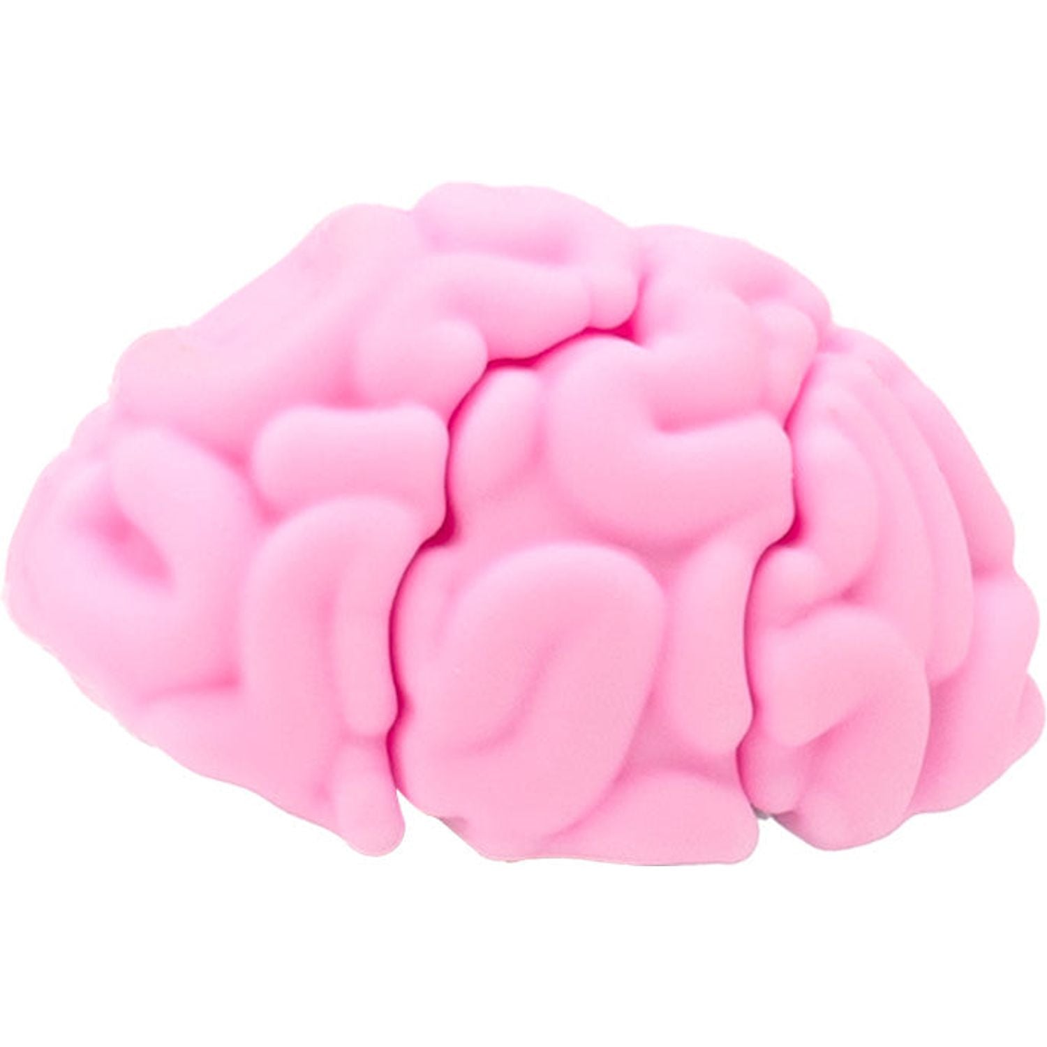 Brain 3D Charm