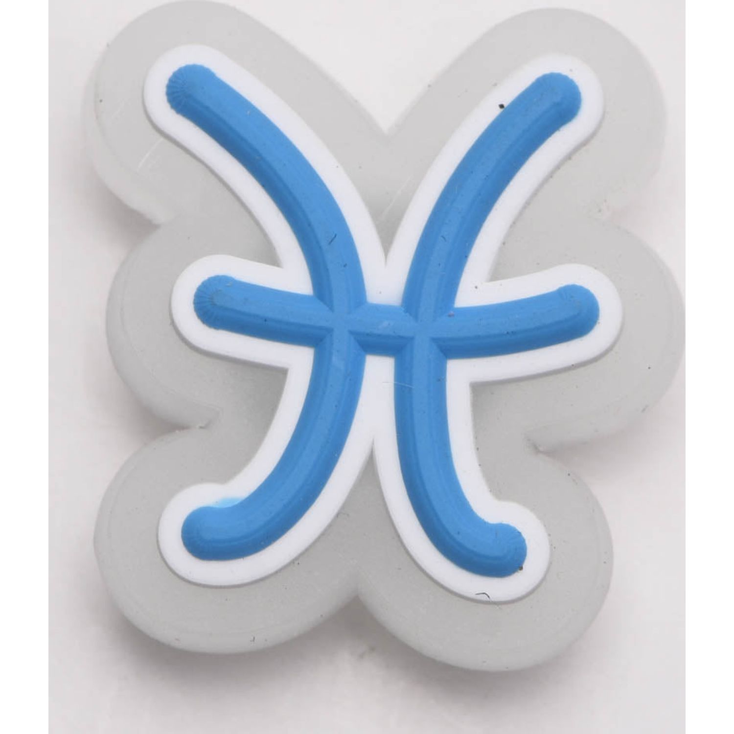 Pisces Charm